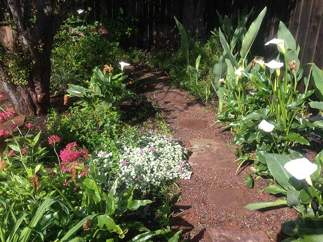 Garden 4