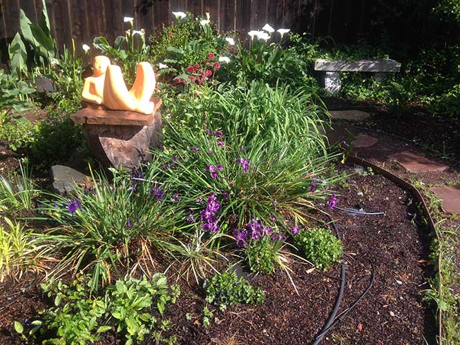 Garden 3