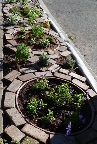 Front yard (1)